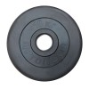 Диск/Блин 10 кг черный Profigym ДТР-10