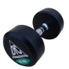 Гантели пара 15 кг DFC POWERGYM DB002-15