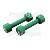 Гантели для фитнеса 2 кг Profigym ГНП-2