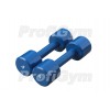 Гантели для фитнеса 4 кг Profigym ГНП-4