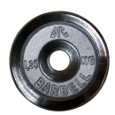 Диск/Блин 1,25 кг DFC/Barbell WP031-26-1.25