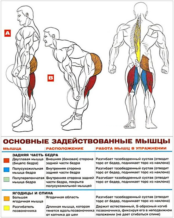 Румынский подъем