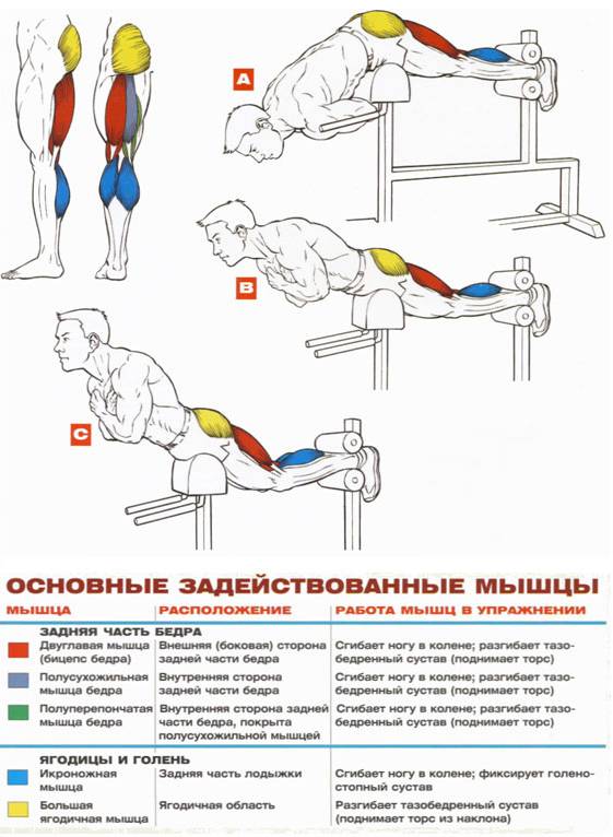 Упражнение гиперэкстензия