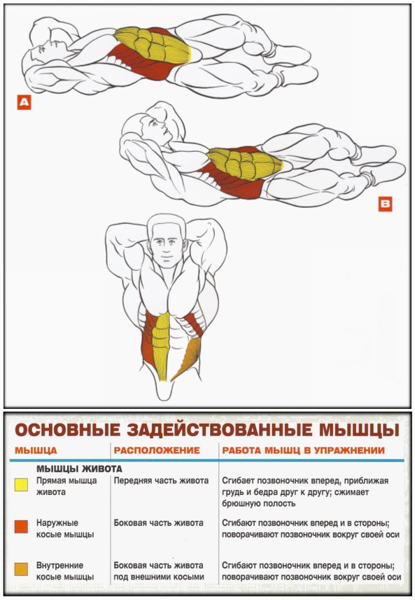 Косые скручивания