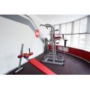 Стойка турник 3 в 1 AeroFit IFPT