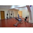 Стойка для хранения дисков AeroFit IFPTO