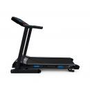 Беговая дорожка DFC SIENTA T625