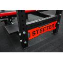 Скамья-рама для жима штанги лежа STECTER 2433