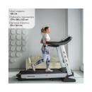 Беговая дорожка DFC SANTANA T755