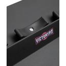 Дополнительная секция VictoryFit VF-T410