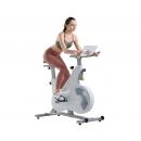 Спин-байк/сайкл DFC OVICX B-Q210W