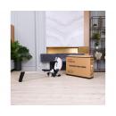 Гребной тренажер DFC PMRM2005