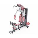 Мультистанция/Силовой комплекс DFC D7009