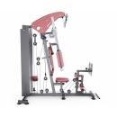 Мультистанция/Силовой комплекс DFC D7009