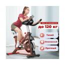 Спин-байк/сайкл DFC Pooboo D615